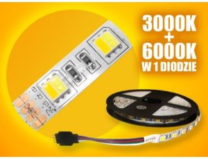 Taśma LED 5050 WW+CW  5m/300diod