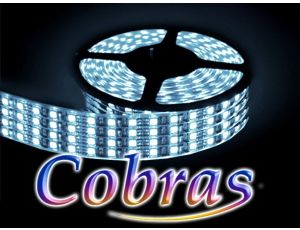 Taśma LED COBRAS 3528 biała zimna 4,8m/2160 24V