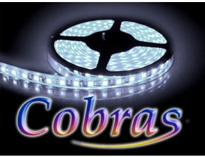 Taśma LED COBRAS 3528 biała zimna 5m/300diod IP65