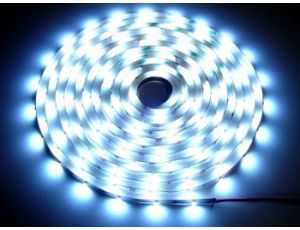 Taśma LED Basic 5050  6000K  5m/150diod