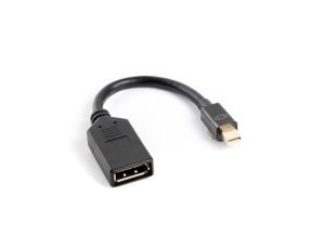 Adapter mini DisplayPort wt./gn.DisplayPort z kabl