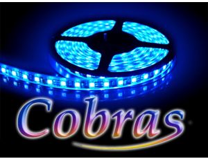 Taśma LED COBRAS 3528 niebieska 5m/300diod