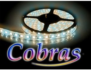 Taśma LED COBRAS 3528 biała zimna ciepła 600 24V