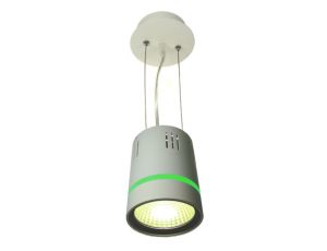Downlight LED COB LONER 10W+2W biały ciepły+zielon