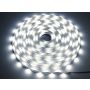 Taśma LED Premium 2835 120d/m 100m 3000K IP20 - 2