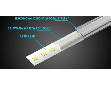 Taśma LED 3528 niebieska 5m/300diod IP68 LS - 2