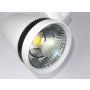 Projektor LED Barato szyna 1 faza 30W 6500K - 3