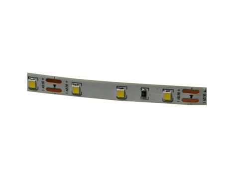 Taśma LED Premium 2835  60d/m 50m 6000K IP20 - 4