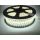 Taśma LED 5050 biały zimny  50m 230V 60diod/1m
