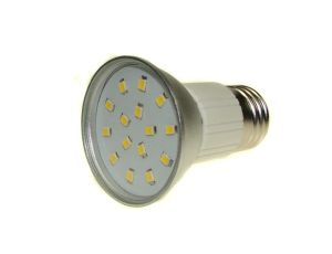 Żarówka LED PRIN E27 15x2835 2W DW