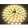 Taśma LED Basic 5050 WW  5m/300diod 24V