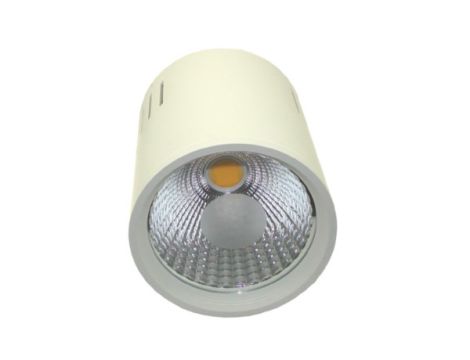 Downlight LED COB LONER 15W DW - 2