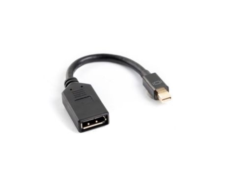 Adapter mini DisplayPort wt./gn.DisplayPort z kabl