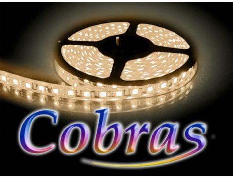 Taśma LED COBRAS 5050 biała ciepła CC 5m/300diod