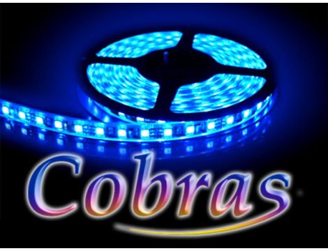 Taśma LED COBRAS 3528 niebieska 5m/300diod