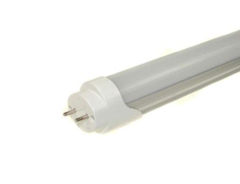 Świetlówka LED 2835 T8 120cm 18W 230V clear  CW