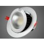 Downlight LED Gimbal 50W regulowany DW - 2