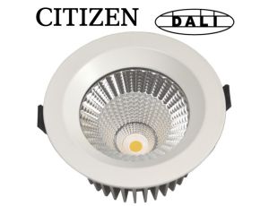 Downlight LED Davels 20W 4000K  Citizen IP65 Dali